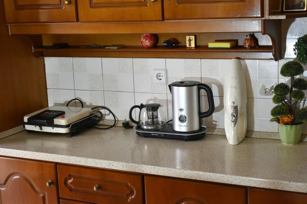 טריקלה Stefanos Apartment מראה חיצוני תמונה